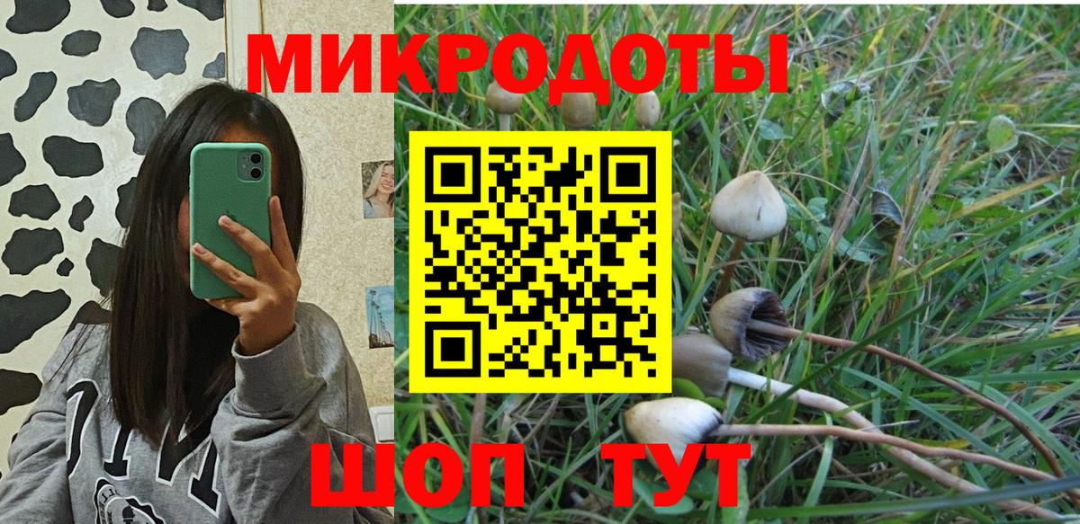 Галлюциногенные грибы ЛСД Алушта