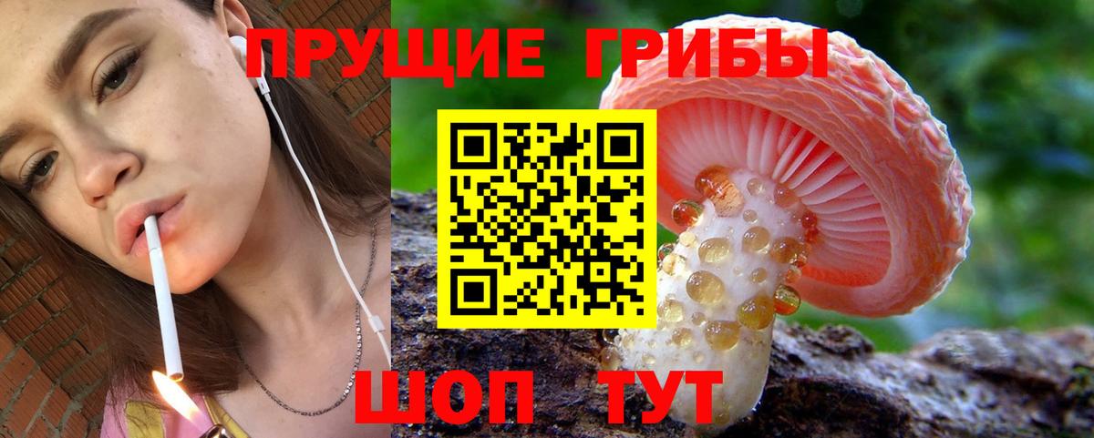 Галлюциногенные грибы Magic Shrooms  Вход с VPN  Алушта  Галлюциногенные грибы ЛСД 
